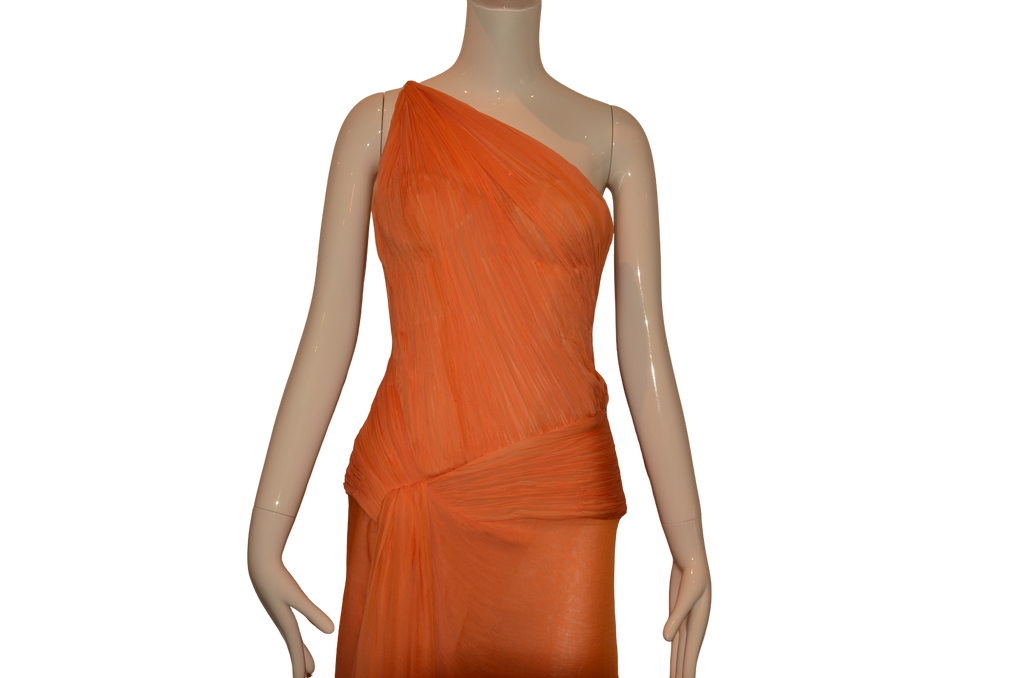 Roberto Cavalli 2000s Chiffon Gown