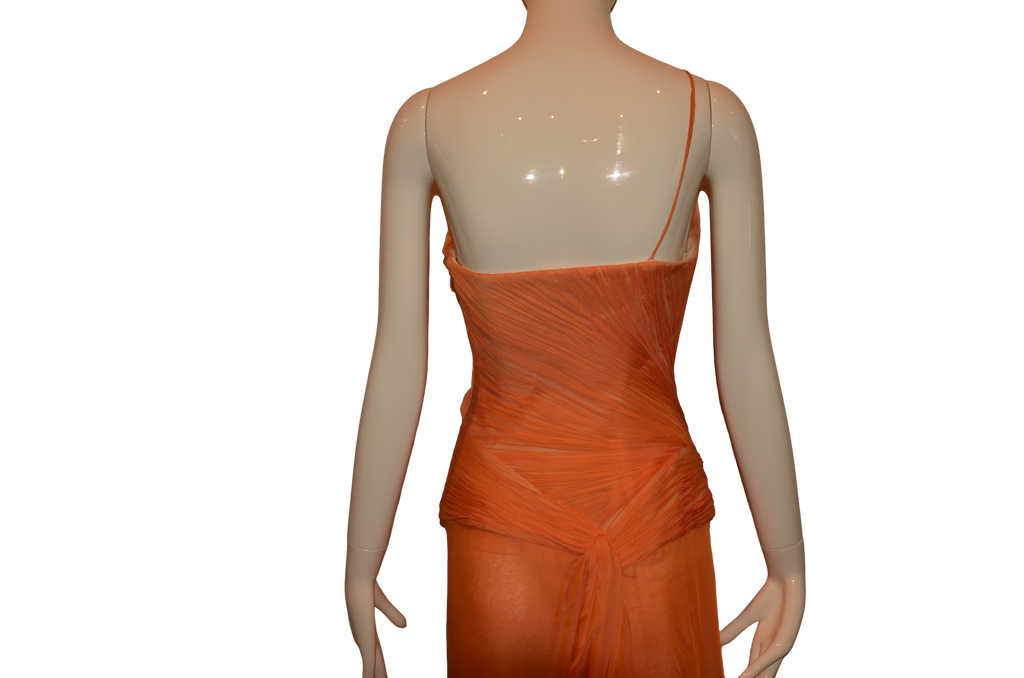 Roberto Cavalli 2000s Chiffon Gown